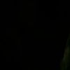 jimena666